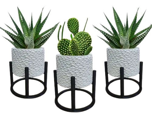 3 Vasos Cachepot Suculenta Erva Flor Decoração Casa Suspenso